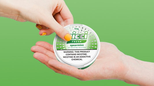 What Are Nicotine Pouches? A Modern Way To Enjoy Nicotine